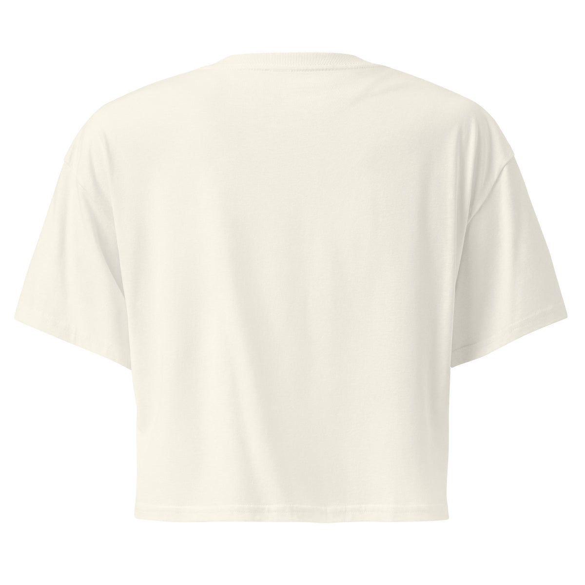 Women's Retro Orange Graphic Crop Top | Original Privateer