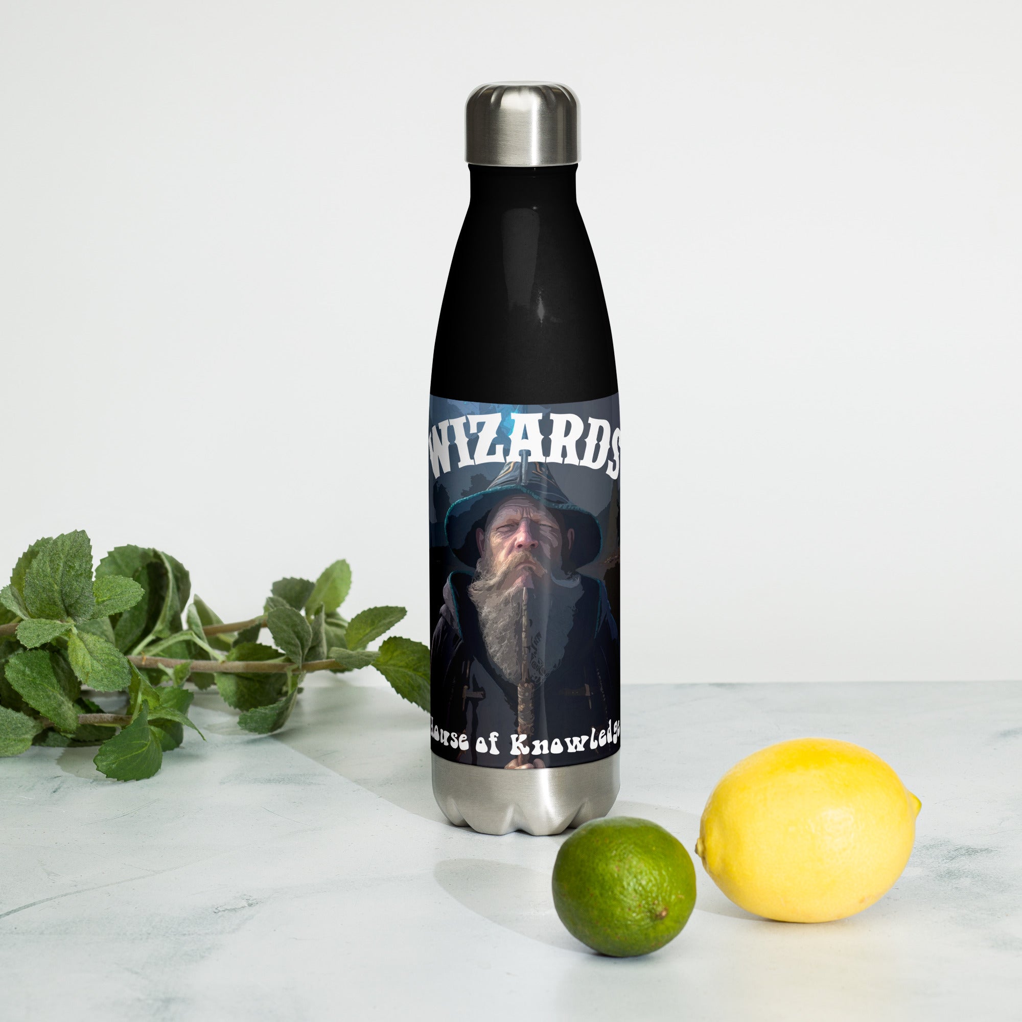 Wizards House of Knowledge Stainless Steel Water Bottle