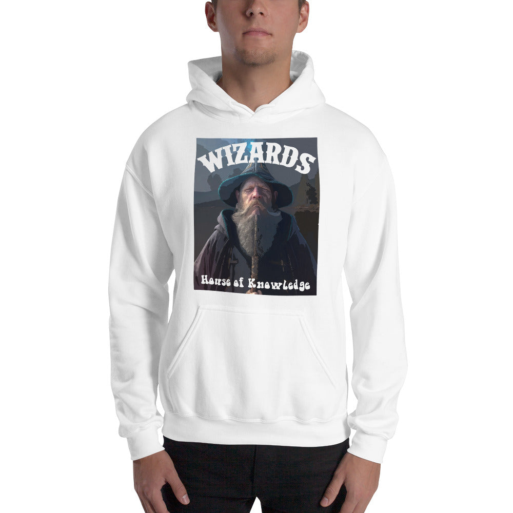 Wizards House of Knowledge v2 Unisex Hoodie